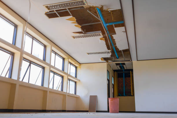 Best Local water damage restoration  in Ignacio, CO