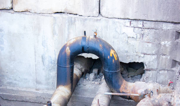 Best Carpet water damage restoration  in Ignacio, CO